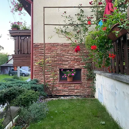 Misuty 586 דונובאלי