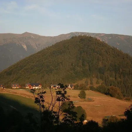 Misuty 586 דונובאלי